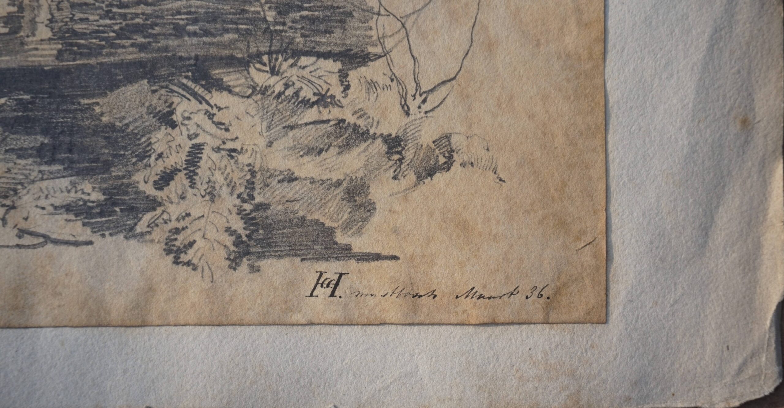 Constant Cornelis Huijsmans, arbre brisé en deux dans la forêt de Mastbosch - Image 3