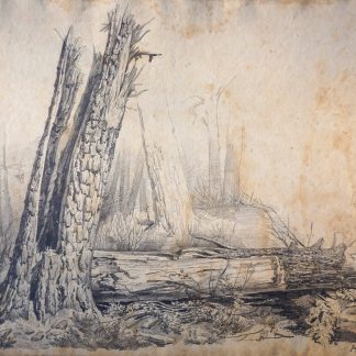 Constant Cornelis Huijsmans, arbre brisé en deux dans la forêt de Mastbosch